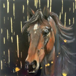 Stallion