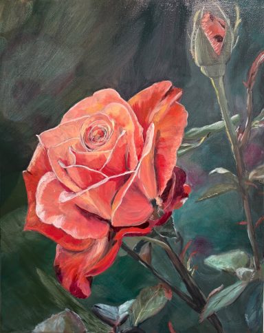 Rose