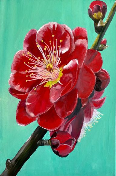 Rote Blüte